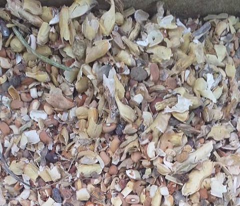 Beans chaff